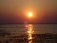 DSC01665.jpg
