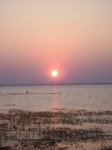 DSC01671.jpg