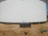 IMG_1546.jpg