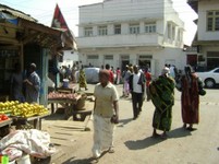 DSC01654.jpg