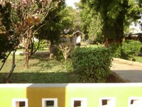 DSC01597.jpg