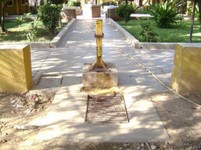 DSC01605.jpg