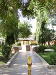 DSC01606.jpg