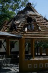 _MG_6693.jpg