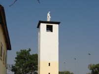 IMG_1167.jpg
