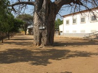 IMG_1174.jpg