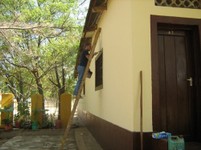 IMG_1491.jpg
