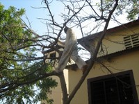 IMG_1496.jpg