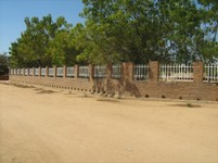 IMG_1753.jpg