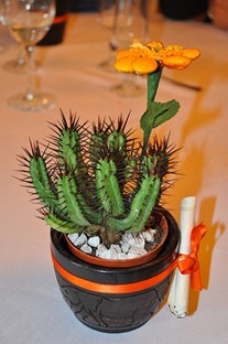 Foto-087.jpg